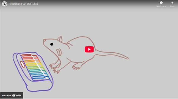 Talks and lectures template