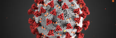 Coronavirus image