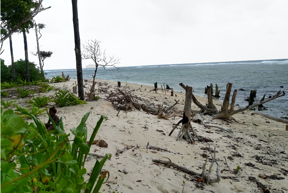 Coastal Vulnerability