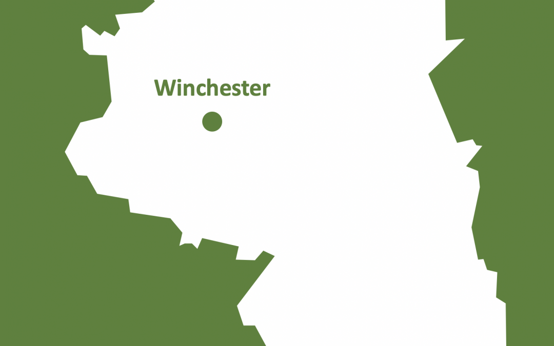 Decarbonisation of the Winchester District