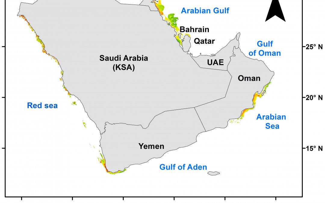 Arabian Peninsula’s Offshore Wind Energy Siting