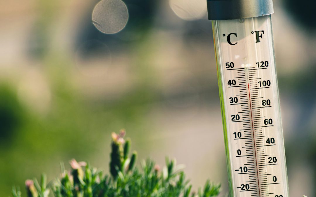 Co-developed Environmental Solutions to Mitigate the Impact of Temperature Extremes on the Health of Vulnerable Populations