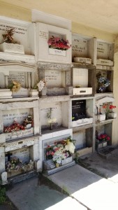 'Nichos' Alcoves in the wall to bury the dead. Yes I visited a cemetery but death is treated as a celebration here. Well worth the visit. 