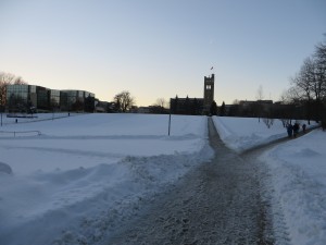 University Hill