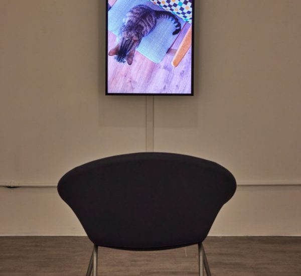 A vertical screen displays an image of a cat resting on a patterned cushion, positioned above a single chair in the gallery.