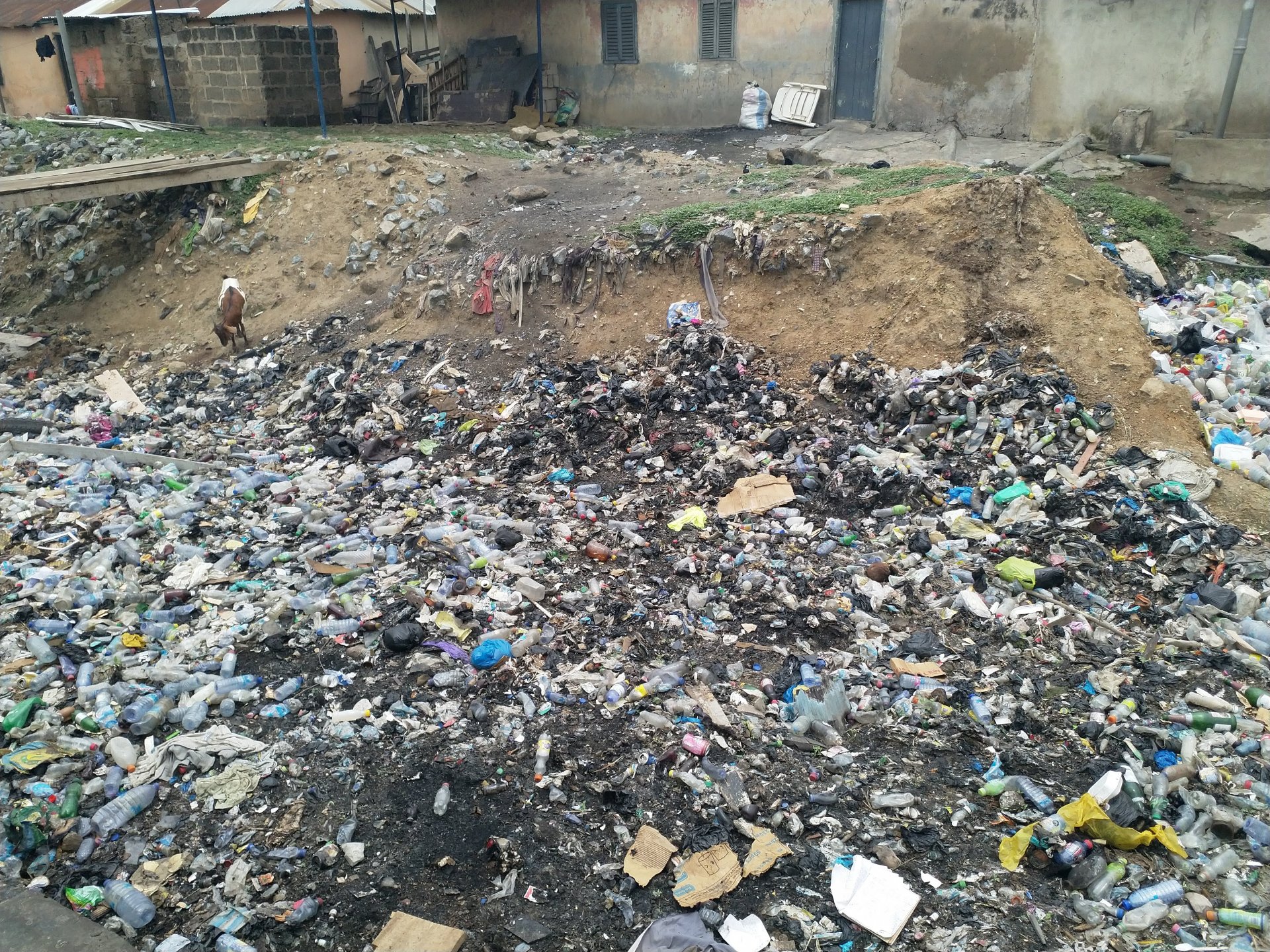 Water and Waste