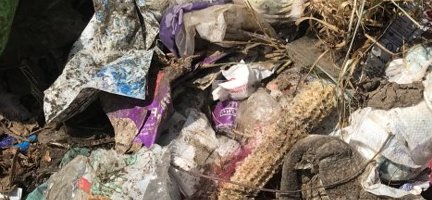 What can household expenditure surveys tell us about the origins of mismanaged plastic waste?