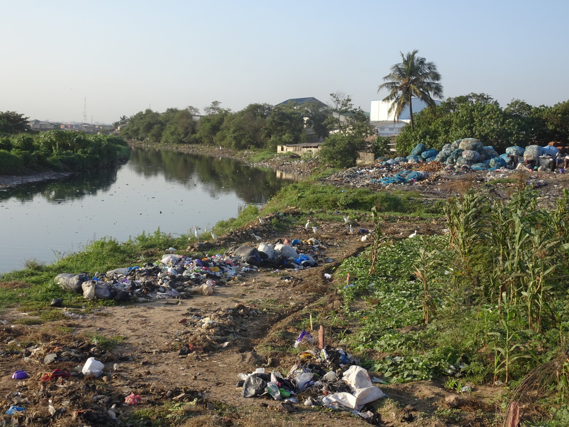 Water and Waste