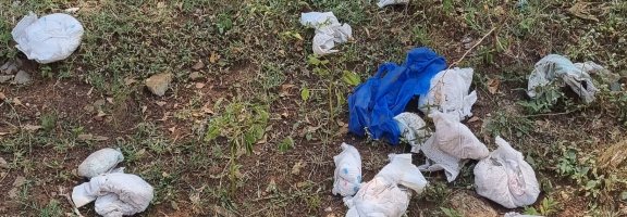 Balancing the convenience benefits of disposable diapers with their waste management challenges in off-grid cities