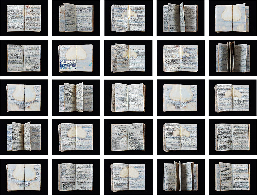 Reading Room: Leaves, Threads and Traces